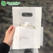 In túi hột xoài đựng phẩm giá rẻ