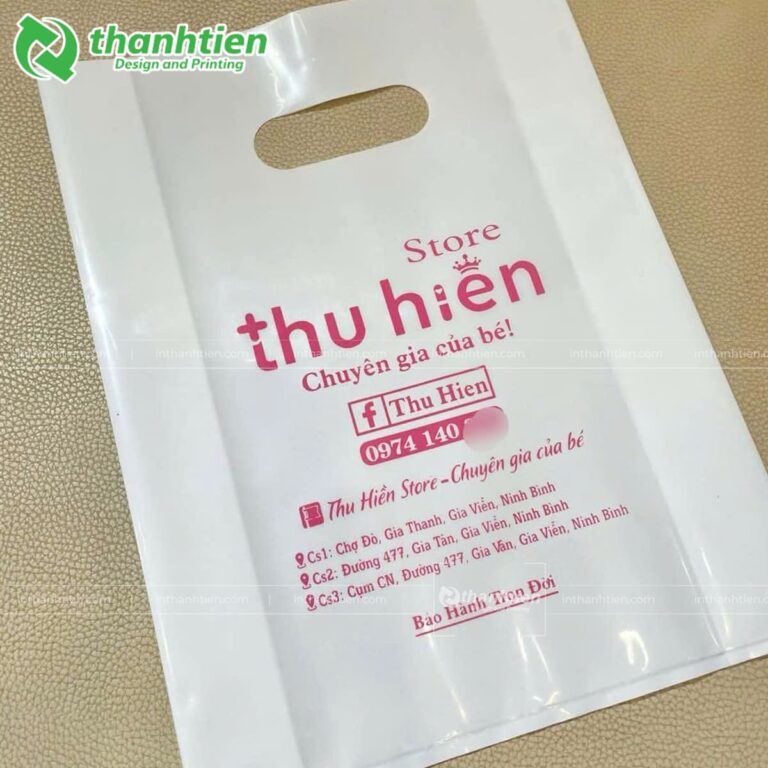 Túi hộp xoài in thương hiệu