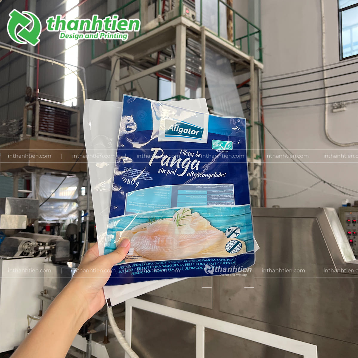 Bao bì đựng cá đông lạnh