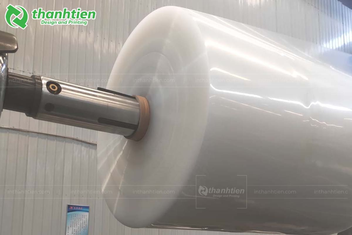 Màng nhựa PP chịu nhiệt