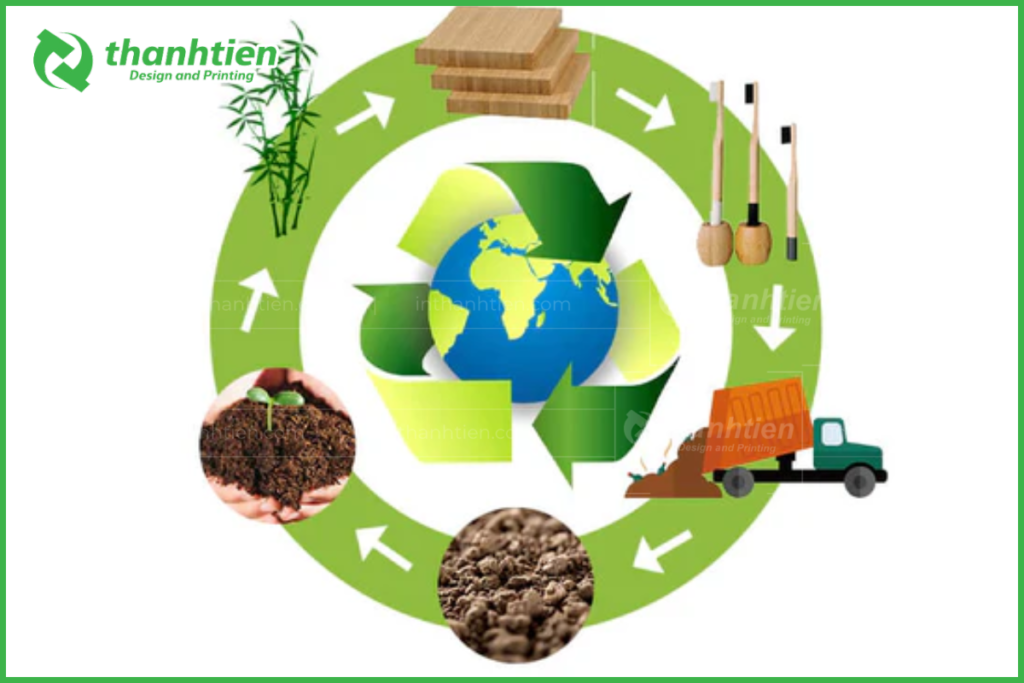 biodegradable phân hủy sinh học