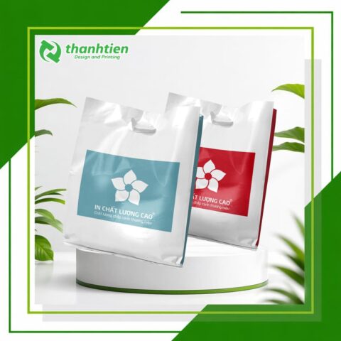 Thumnail túi hột xoài